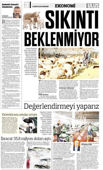 3. Sayfa