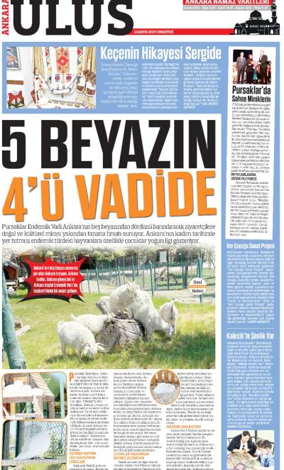 8. Sayfa
