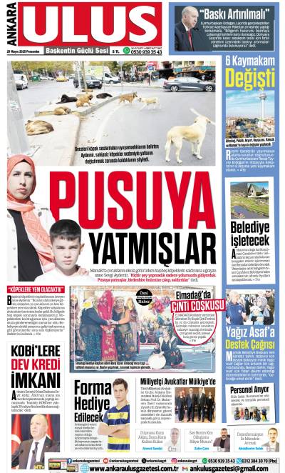 29 Mayıs 2025