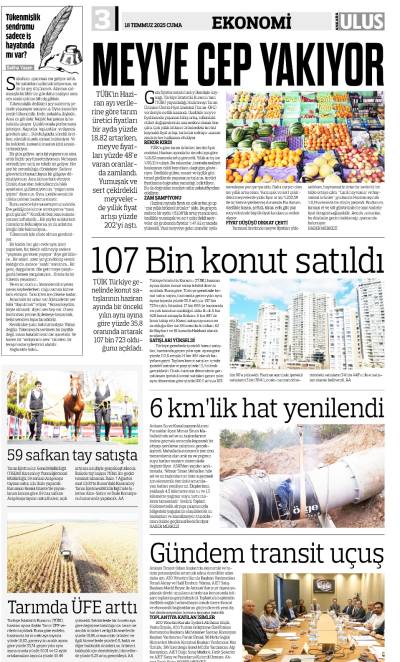 3. Sayfa