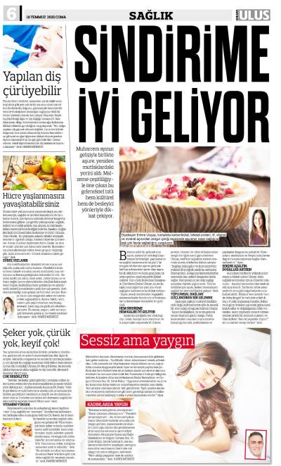 6. Sayfa