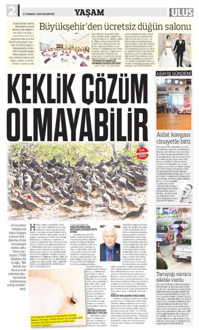 2. Sayfa