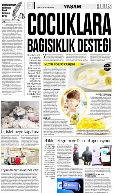 2. Sayfa