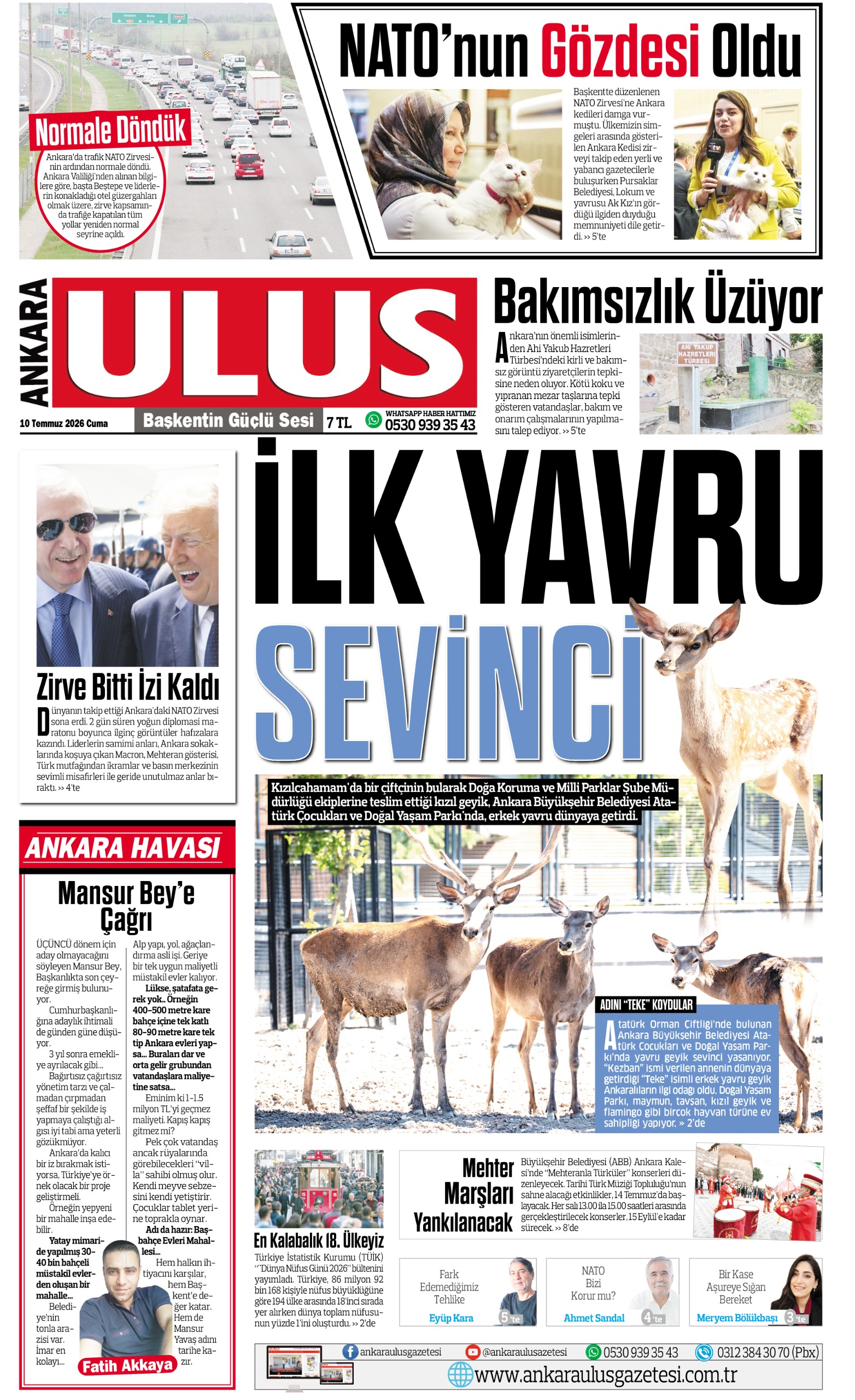 1. Sayfa
