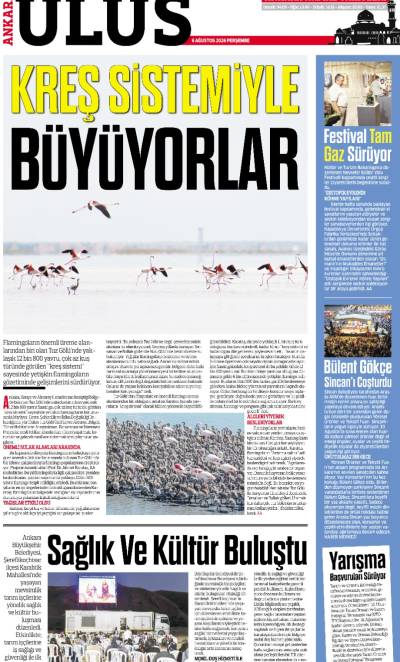 8. Sayfa