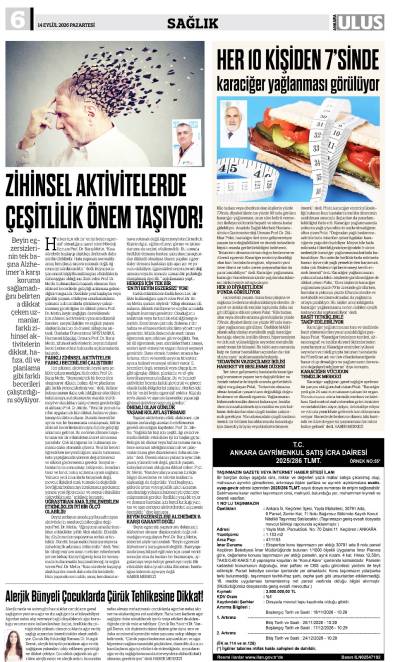 6. Sayfa