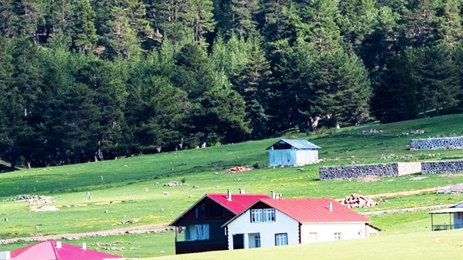 Çamlıdere Kaymakamlığı'ndan yeni karar! GİRİŞ YASAKLANDI