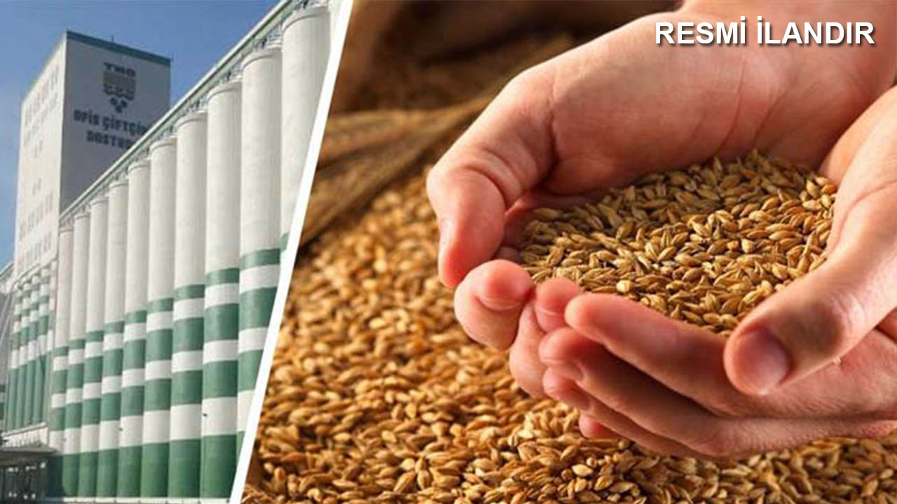 LOG YÖNETİM YAZILIMI (SIEM)