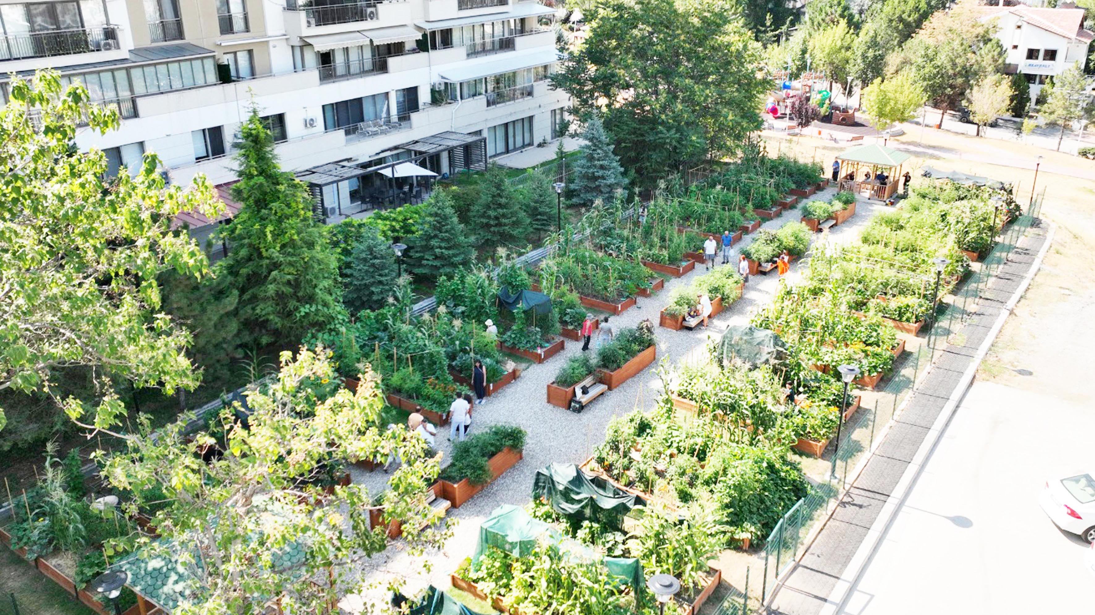 Kent bostanlarında ilkbahar dönemi