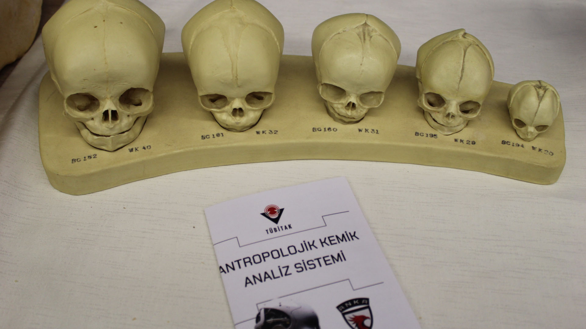 Marka yapan zekâlar, yapay zekâ buluştu: Etkinlik başkente damga vurdu