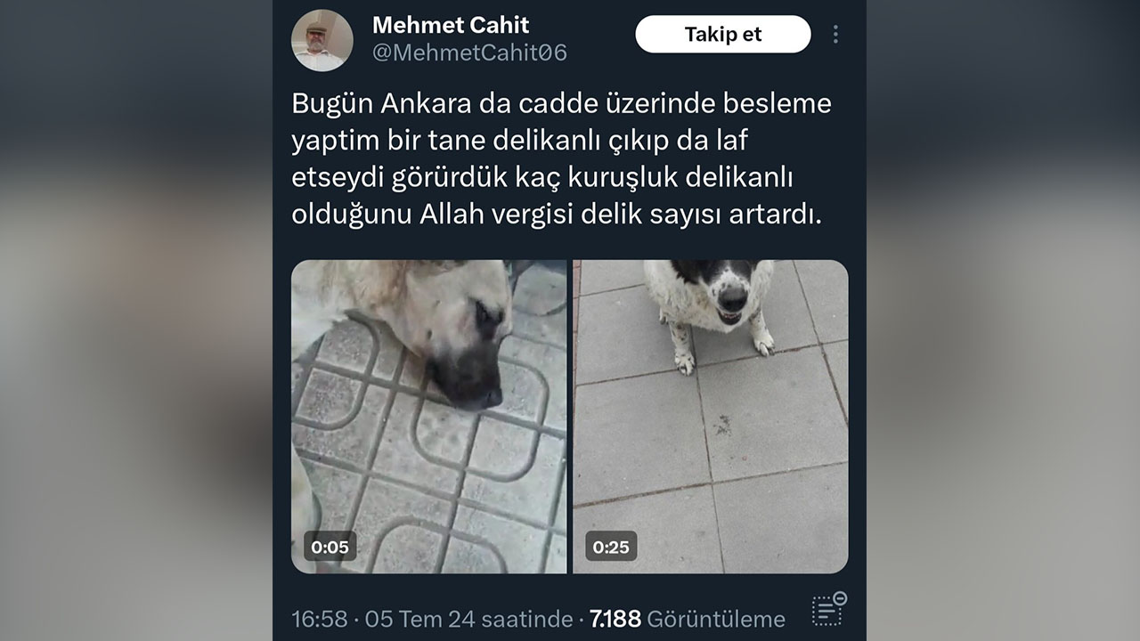 Mehmet Cahit tweet