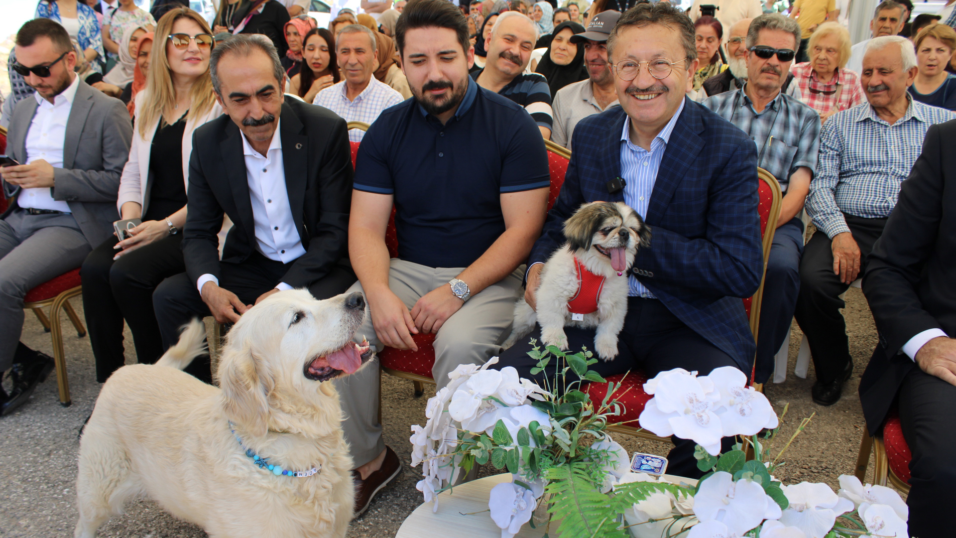 sokak-hayvanlari-1.jpg