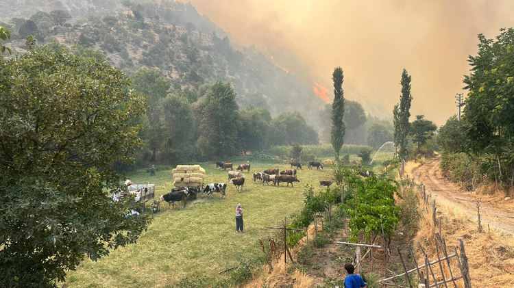 2025-07-usak27-1.jpeg