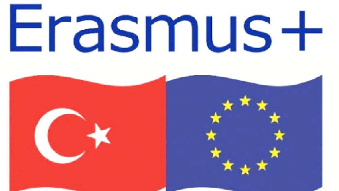 erasmus-12.jpg
